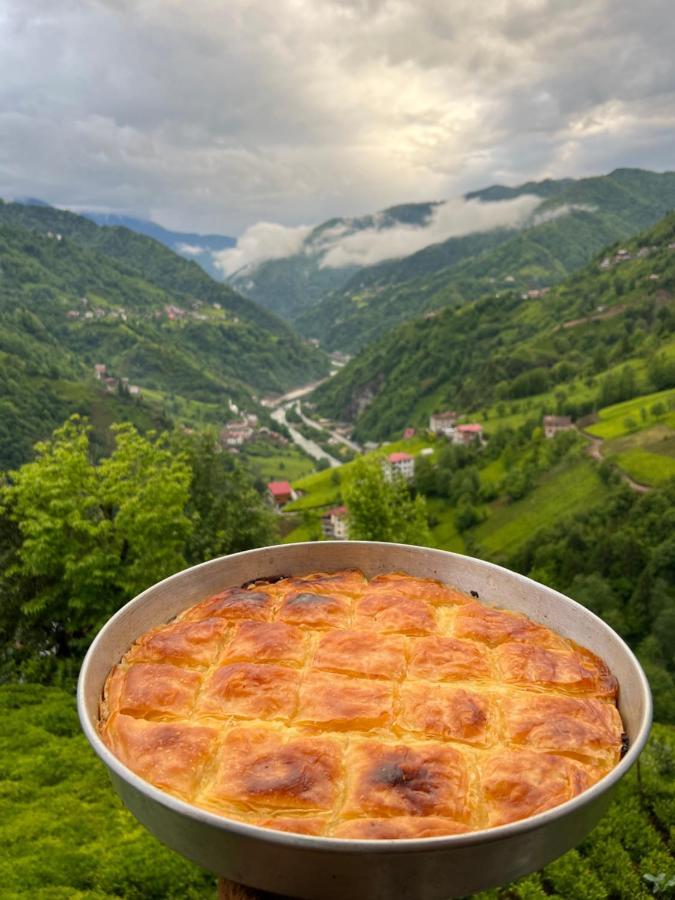 Zifona Bungalov Çamlıhemşin Zewnętrze zdjęcie